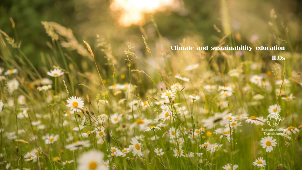 ILO1 and ILO2 according to BUas