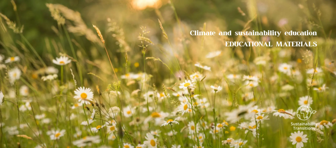 A History of Sustainable Development